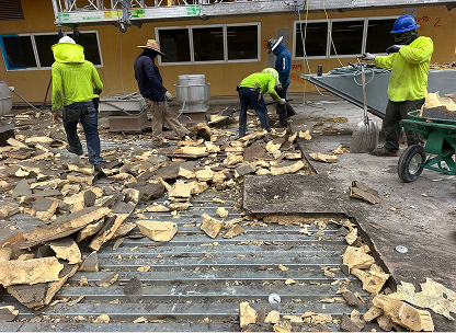 Roofing maintenance project with sealing, preventive care, and minor repairs